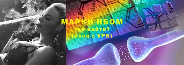 мдпв Бикин