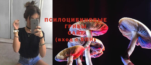 кокс Абдулино