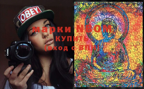 прущие грибы Бежецк