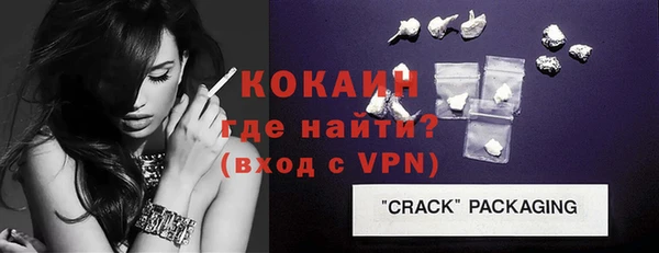 прущие грибы Бежецк