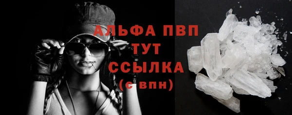 прущие грибы Бежецк