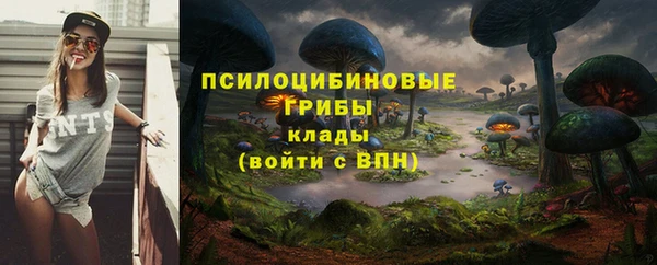 кокс Абдулино